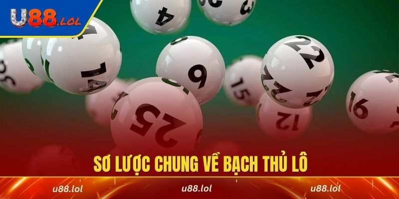 Sơ lược chung về bạch thủ lô